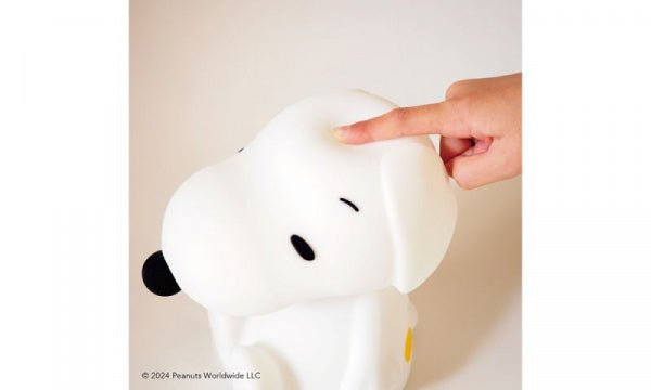 First Light Snoopy