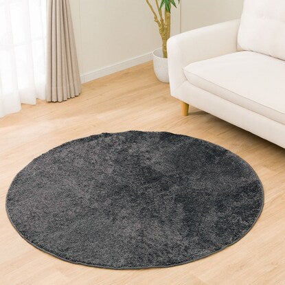 Washable floor mat (90R MGY SR002)