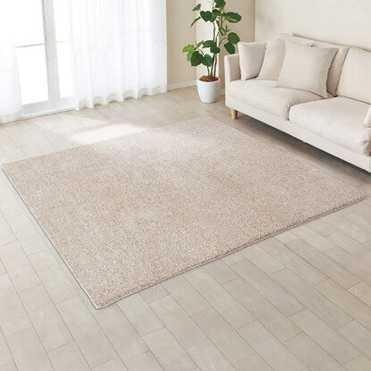 Antibacterial and deodorizing soft shaggy rug (PB shaggy BE 185 x 185)