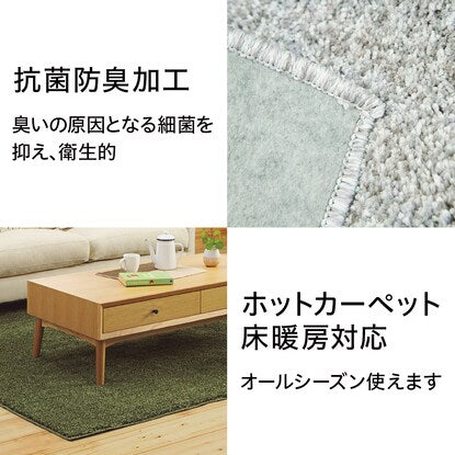 Antibacterial and deodorizing soft shaggy rug (PB shaggy BE 185 x 185)