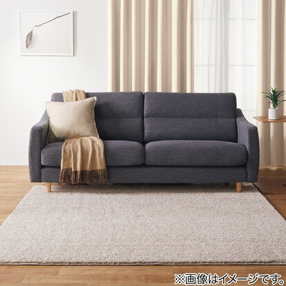 Antibacterial and deodorizing soft shaggy rug (PB shaggy BE 185 x 185)