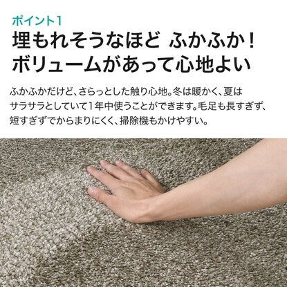 Antibacterial and deodorizing soft shaggy rug (PB shaggy BE 185 x 185)