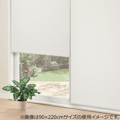 Light-gathering roller blind (Aries WH 180 x 220)