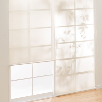 Light-gathering roller blind (Aries WH 180 x 220)