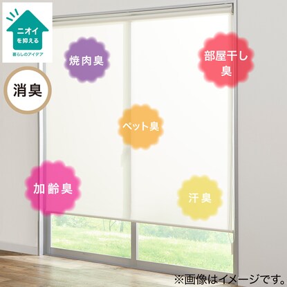 Blackout and deodorizing roller blind (DS2 IV 60X180)