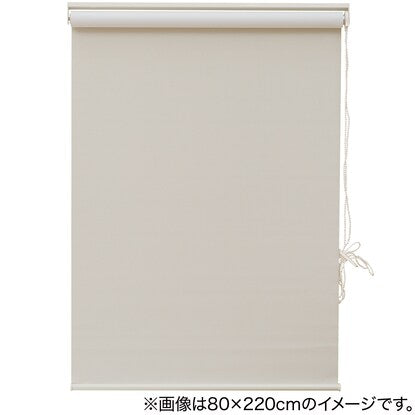 Blackout and deodorizing roller blind (DS2 IV 60X180)