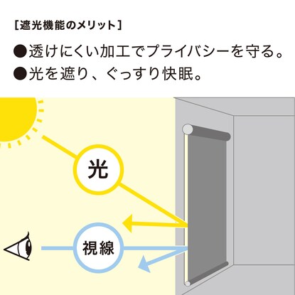 遮光・消臭ロールスクリーン（DS2 IV 80X220）