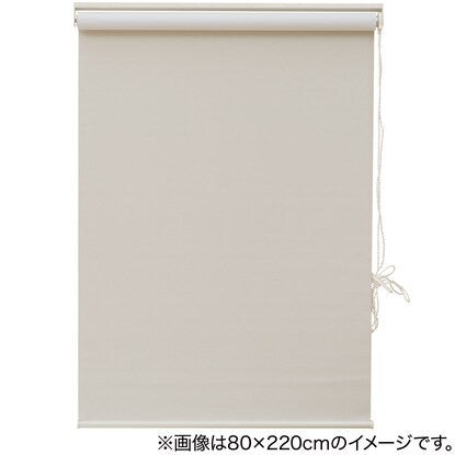 Blackout and deodorizing roller blind (DS2 IV 90X220)