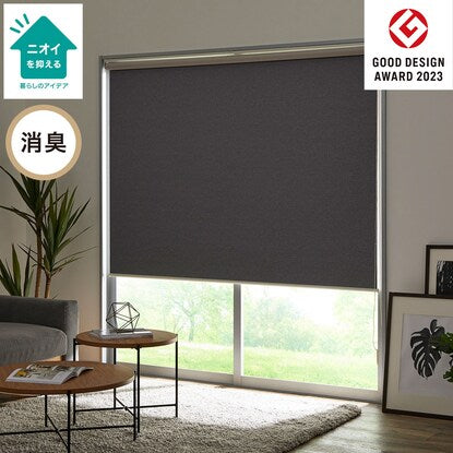 Blackout and deodorizing roller screen (DS2 GY 80X220)