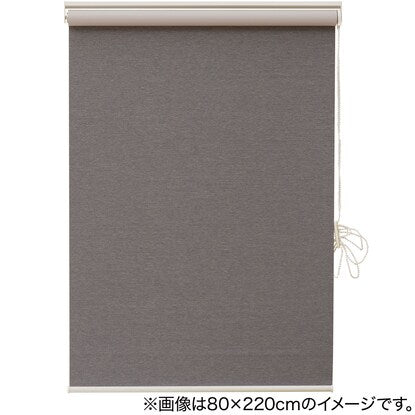 Blackout and deodorizing roller screen (DS2 GY 80X220)