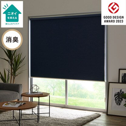 Blackout and deodorizing roller screen (DS2 NV 90X220)