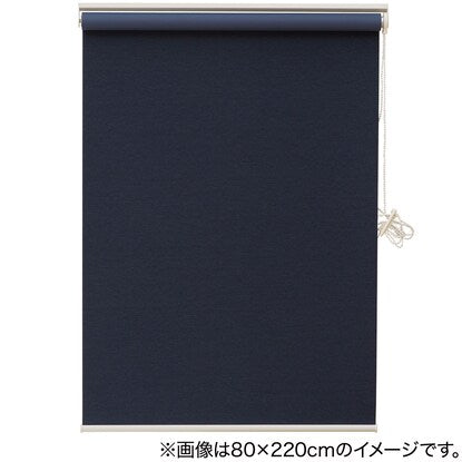 Blackout and deodorizing roller screen (DS2 NV 90X220)