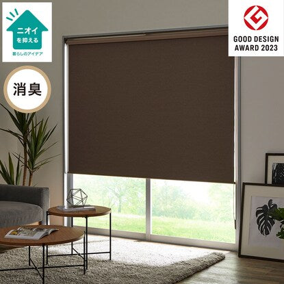 Blackout and deodorizing roller screen (DS2 BR 90X220)