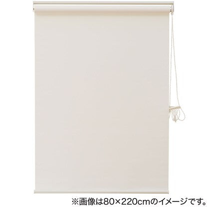 Deodorizing roller blind (DE1 IV 90X220)