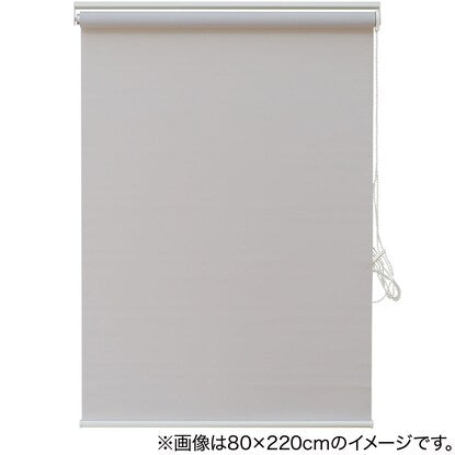 Deodorizing roller blind (DE1 GY 80X220)