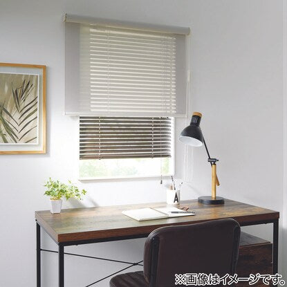 Deodorizing roller blind (DE1 GY 80X220)