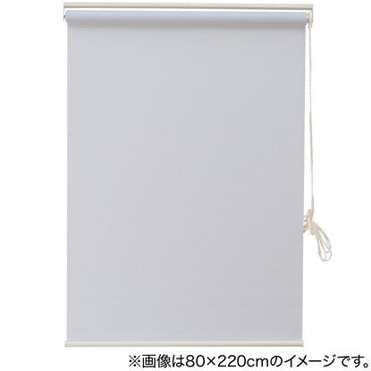 Deodorizing roller blind (DE1 BL 60X180)