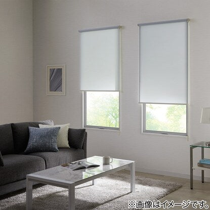 Deodorizing roller blind (DE1 BL 60X180)