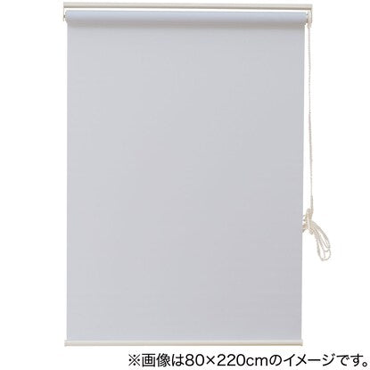 Deodorizing roller blind (DE1 BL 130X220)