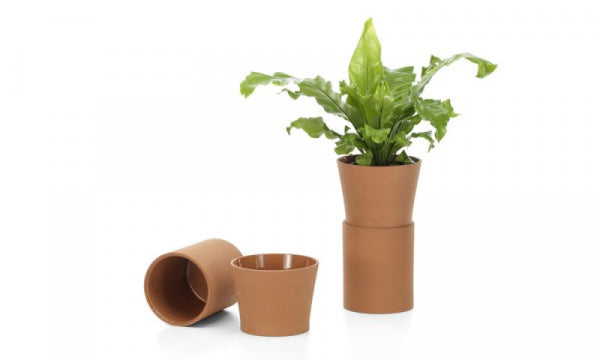 Terracotta Pots M