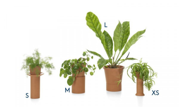 Terracotta Pots M