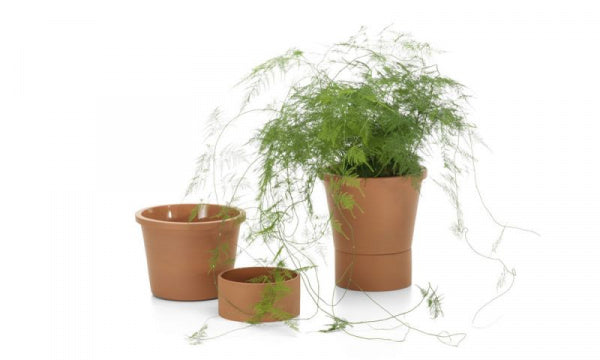Terracotta Pots Large