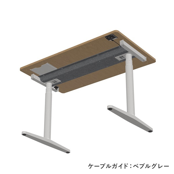Tyde 2 Home Desk W120×D70cm Light Oak x Soft Light
