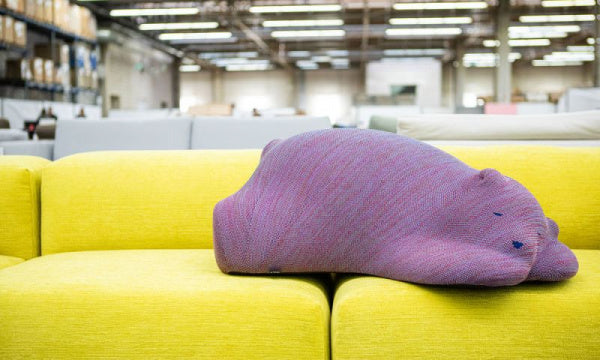 Resting Bear モーヴ