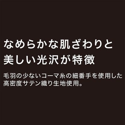 ひもなしラクラク掛け布団カバー シングル（Nグリップ サンドポイント3NV S）