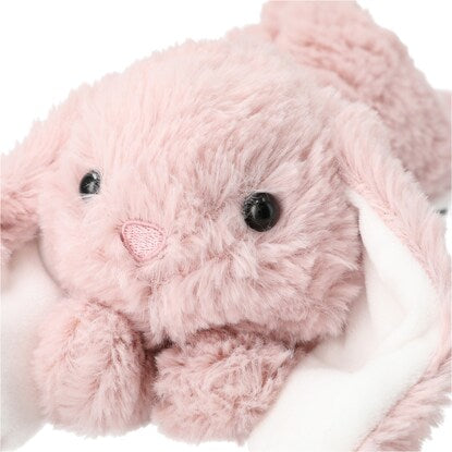 Worn-out stuffed toy (Rabbit RO M)