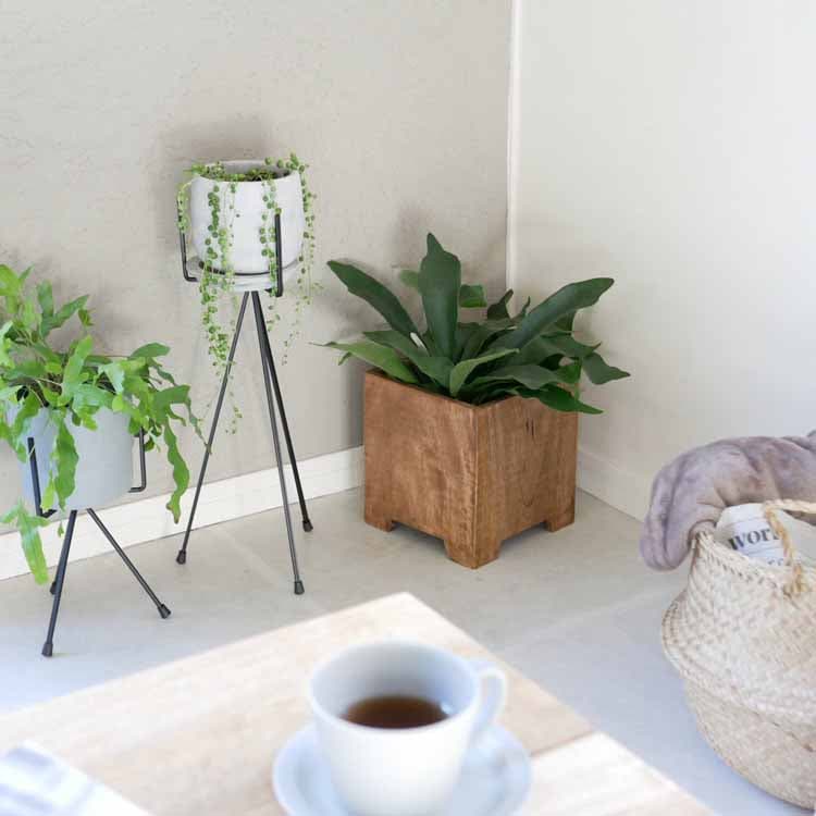 Tripod Stand Black Small