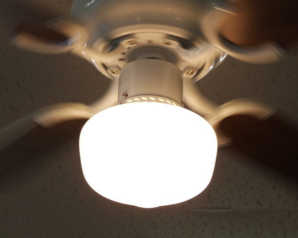 LAGUNA Ceiling Fan ラグナシーリングファン