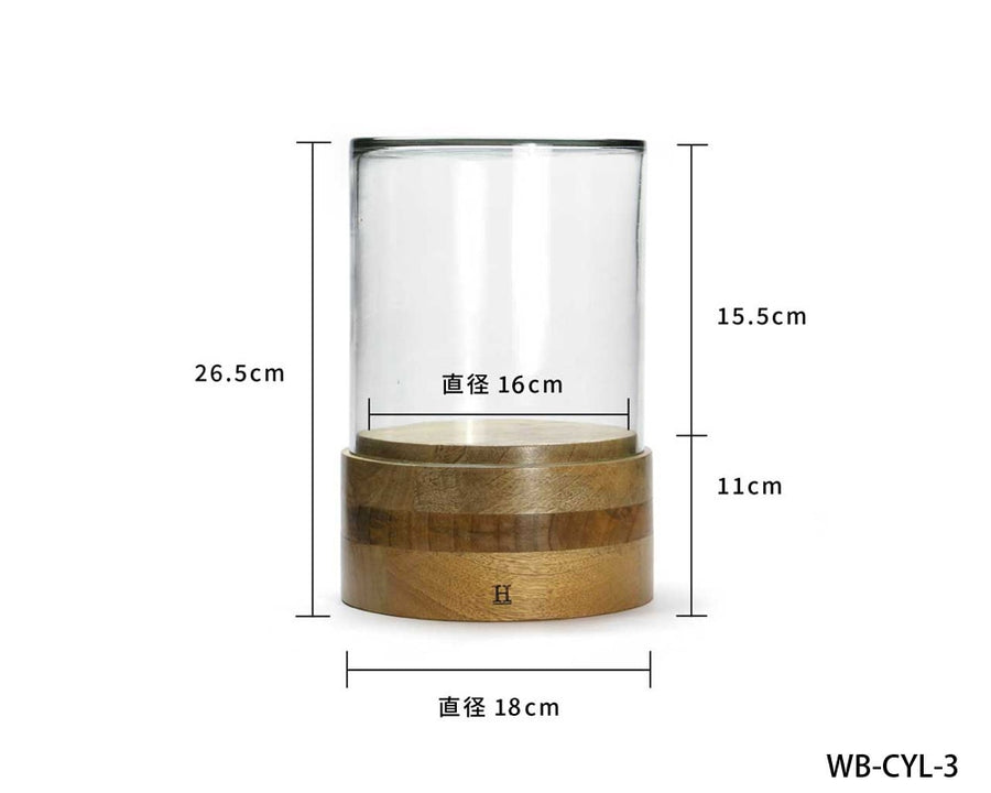Glass Dome Cylinder ガラスドーム シリンダー WB-CYL-3