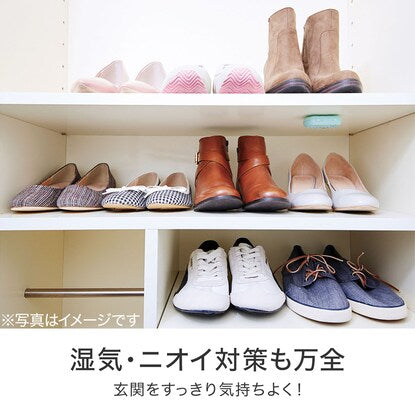 パワーバイオげた箱のカビきれい