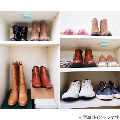 パワーバイオげた箱のカビきれい