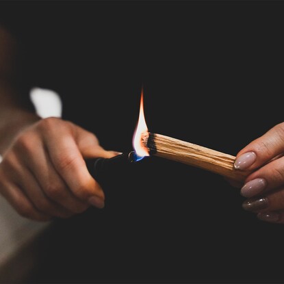 Palo Santo Sticks (5 pcs)