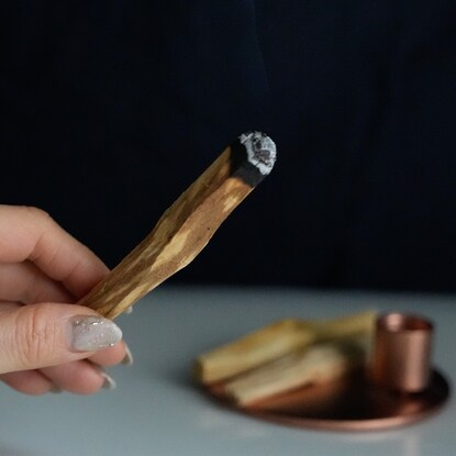 Palo Santo Sticks (5 pcs)