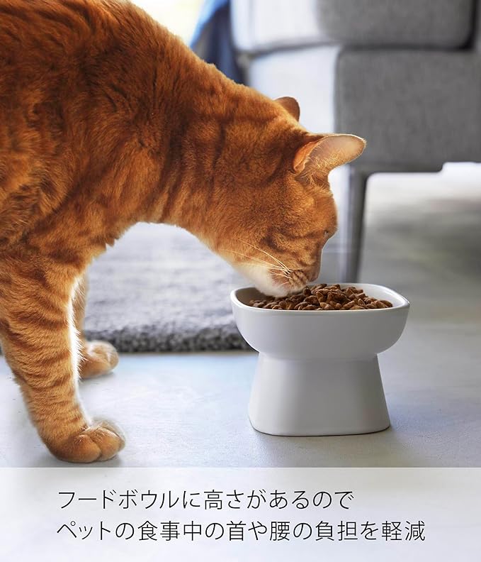 tower 食べやすい高さ陶器ペットフードボウル
