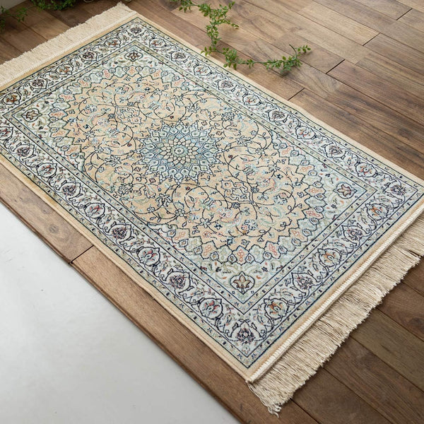 Silk Touch Persian Carpet Pattern Luxury Rug Entrance Mat [67 x 105cm]