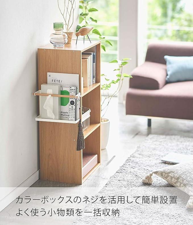 tosca Storage Rack for the Side of a Color Box, White, Utilizes the Screws of a Color Box, Storage, Small Item Storage