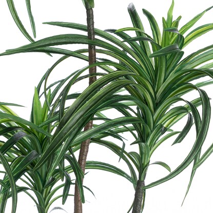 Fake green (Yucca HT)