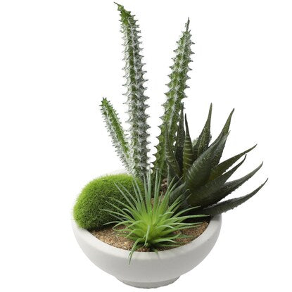 Fake Green (Arrange Cactus Cement Pot YX)