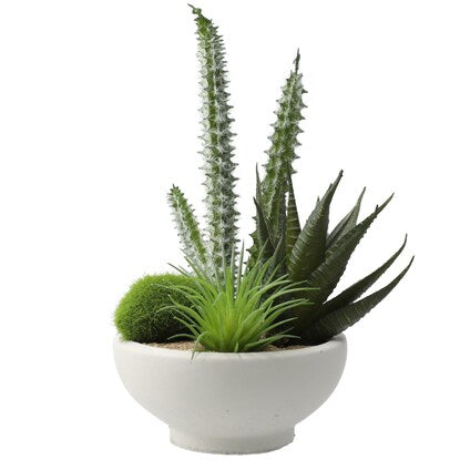 Fake Green (Arrange Cactus Cement Pot YX)