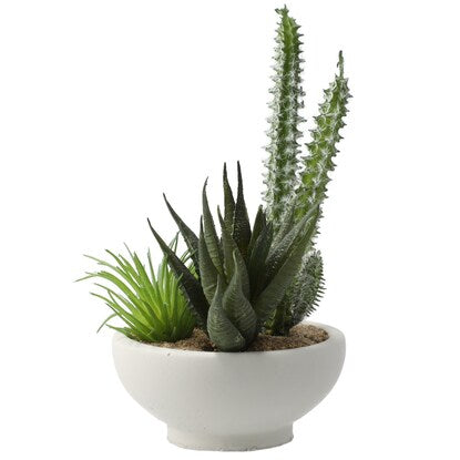 Fake Green (Arrange Cactus Cement Pot YX)