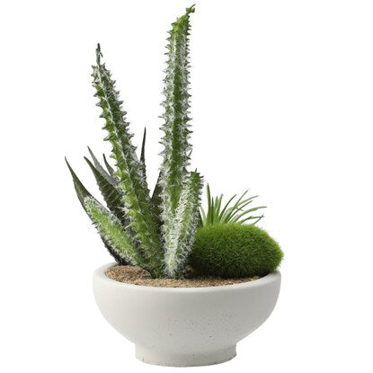 Fake Green (Arrange Cactus Cement Pot YX)