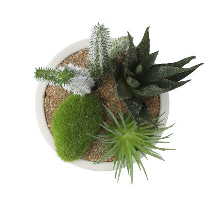 Fake Green (Arrange Cactus Cement Pot YX)