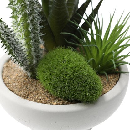 Fake Green (Arrange Cactus Cement Pot YX)