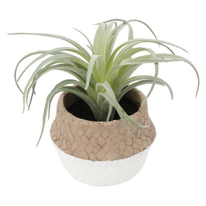 Fake greenery (air glass cement hex pot)