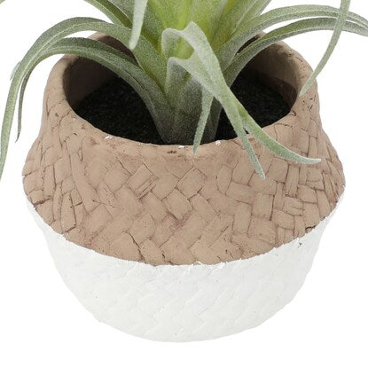 Fake greenery (air glass cement hex pot)