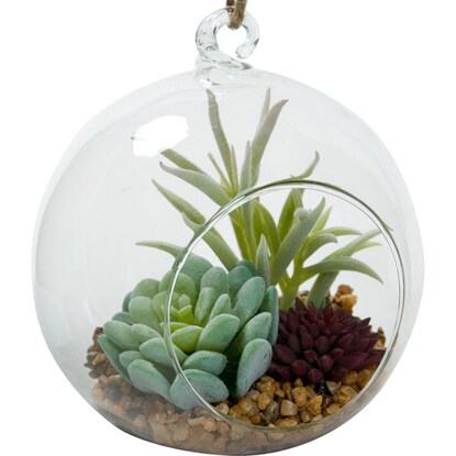 Fake Green Hanging Terrarium Glass Container (Succulent HA3TC0122)